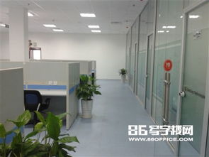 青岛蓝色硅谷软件外包中心 高科园650平精装写字楼出租,赋能企业创新发展
